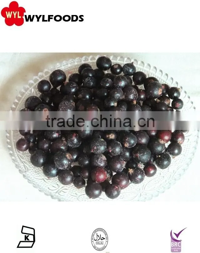 IQF frozen balck currant hot sale 2015