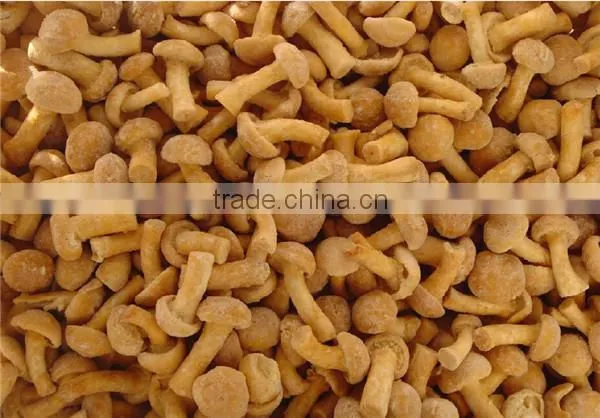Frozen Nameko Mushroom/ IQF Nameko Food