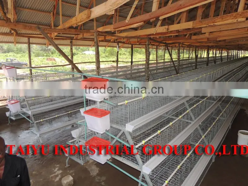 TAIYU factory battery broiler cage system