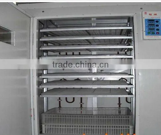 Modern Incubator