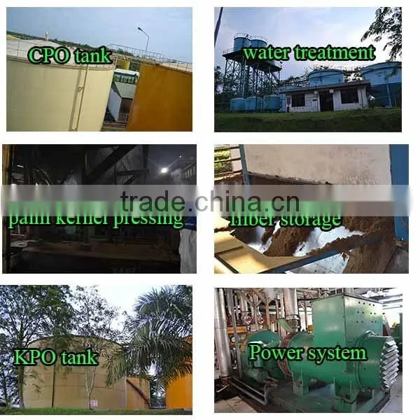 Most popular easy using palm oil press machine