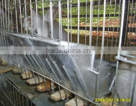 Rabbit Cage Metal