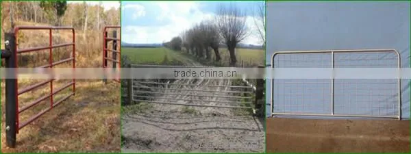 Modern steel gates and fences