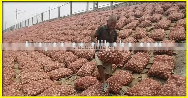 Hot selling garlic harvester/garlic harvesting machine(SMS:0086-15837162163)