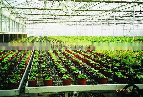 High Pressure Fogging System