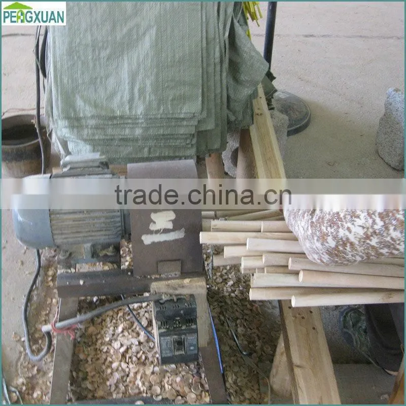 Varnished Wooden Rake Handle