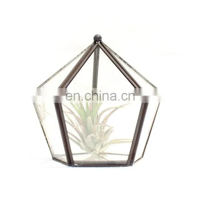 terrarium glass geometric terrarium indoor plants house decoration