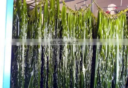 seaweed washing machine/Industrial washing drying machine/seaweed nitrate packaging machine