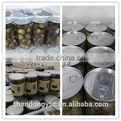 China garlic factory offers best natural black garlic price