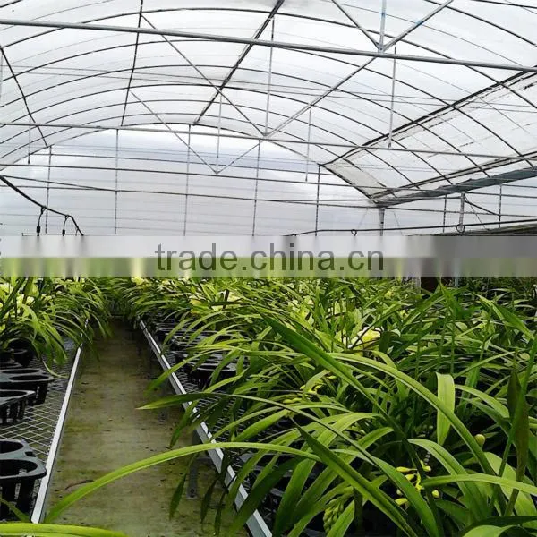 greenhouse for vegetable used