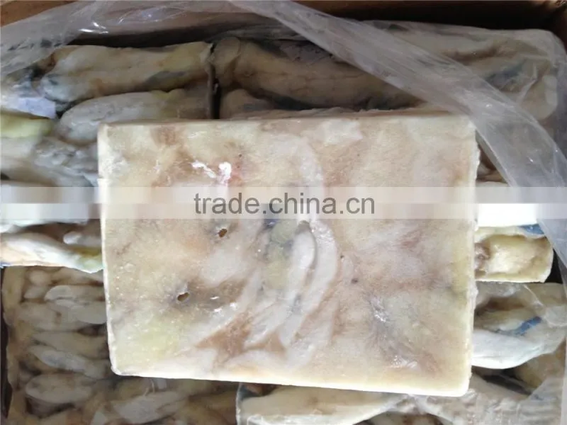 frozen squid fish eggs Illex squid Argentinus eggs