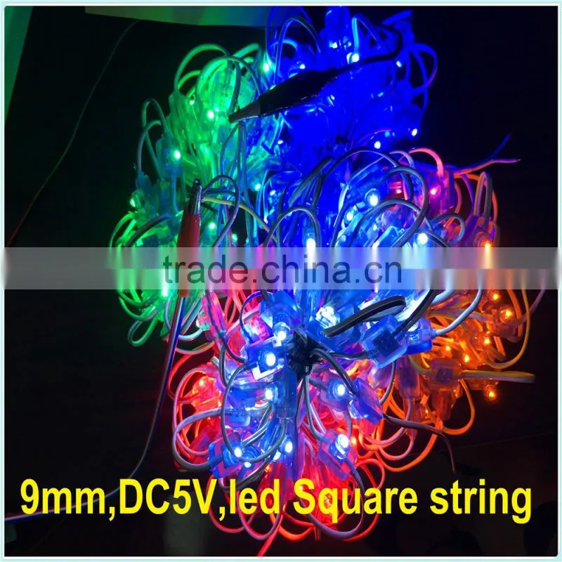 Christmas Holiday Name and 5V Voltage battery powered led square string light