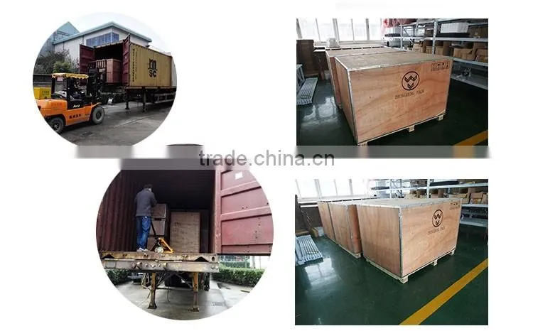 New 2016 Currant Raisin Packing Machine System with Multihead Weigher