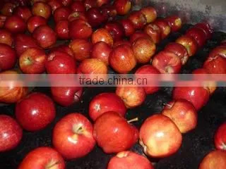 Lixian Richshine Fruits & Vegetables Co., Ltd. company overview - view 3