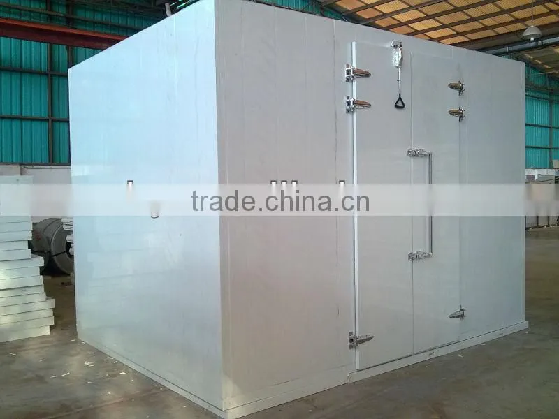 modular cold room and freezer room(fruit&meat)with cam lock polyurethane panels
