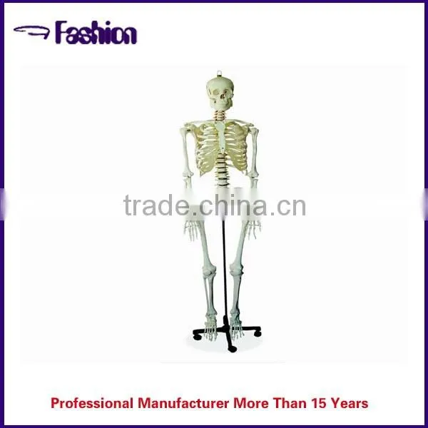 The internal structure of the human body medical device