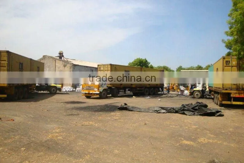 Coconut Shell Charcoal