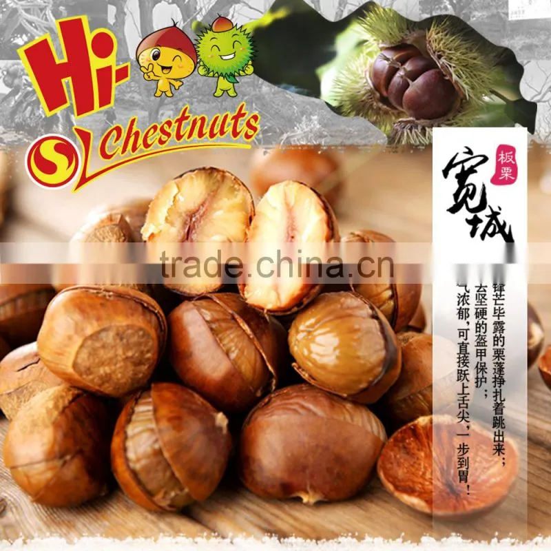 Roasted Ringent Chestnut Snacks--HALAL and KOSHER food