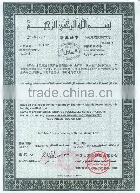 certified bulk quantity and good quality bell peper