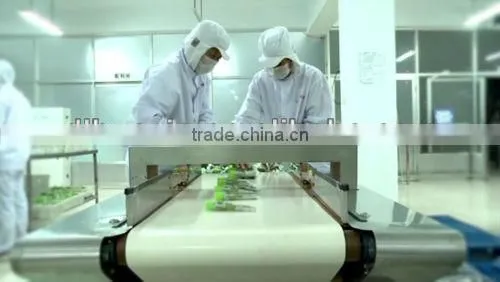 ISO guaranteed wasabi for sea food