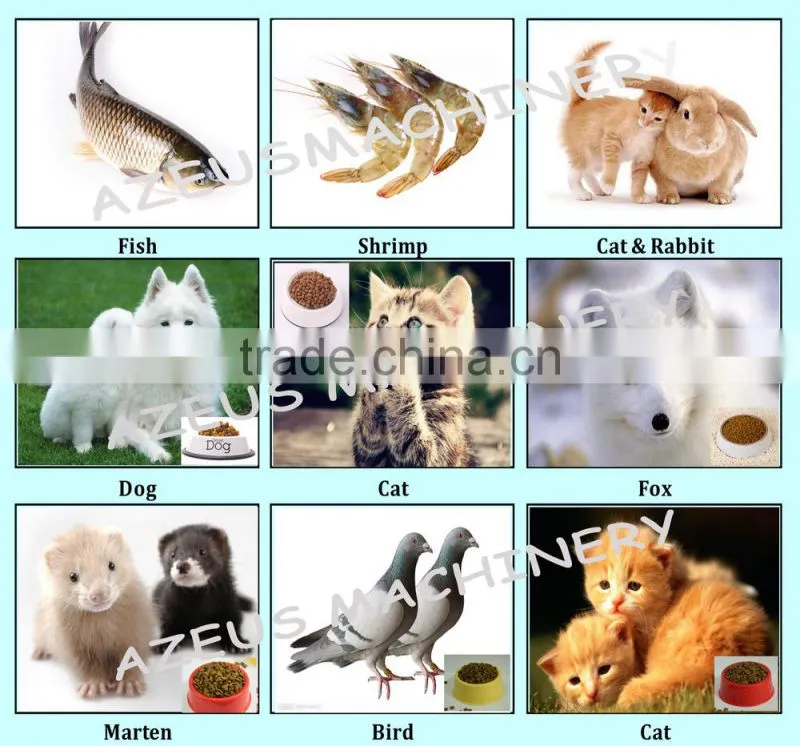 Multi-function Fish food making extruder/pet fish food machinery
