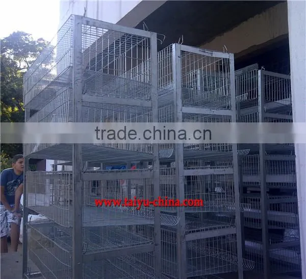 professional quail cage design