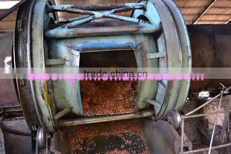 30tph palm fruit solvent oil extract machine
