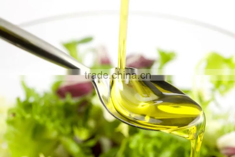 Coconut Oil Presser/Oil Pressing Machine/Cold Oil Press Machine