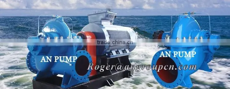 Large Sea Water Stainless Steel Pump