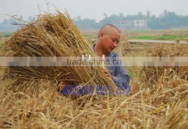 CSPM 2016 new hot sale rice straw hay pellet mill price for sale