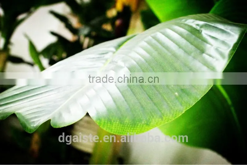 Y8463-15-1LS( 2014 hot sale Factory direct Extra large banana trees for hotel decoration )