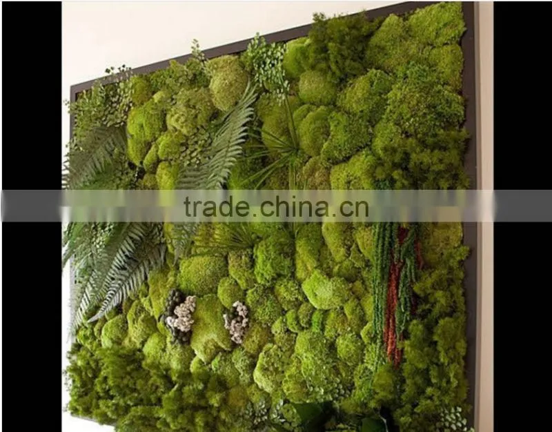plastic green wall for living room decoration moss green wall decoration