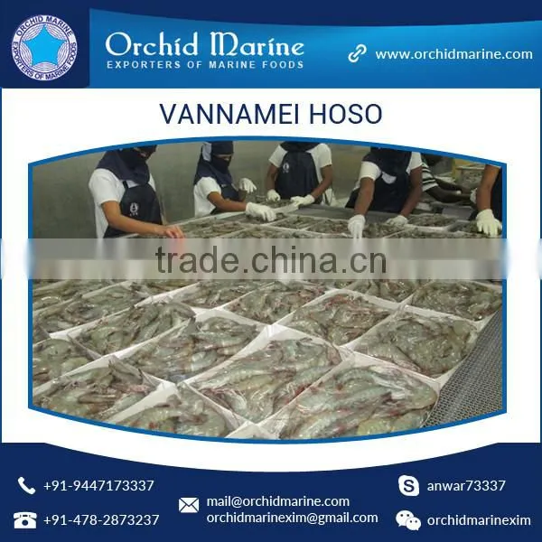 High Grade Hygienically Processed Frozen Vannamei Shrimps Price