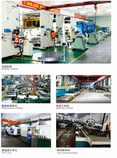 Foshan Nanhai Lesheng Metal Machinery Co.,LTD company overview - view 1