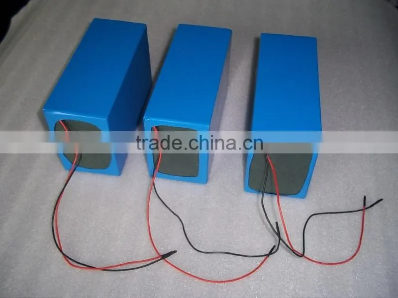 Pocket carrying 36v 8ah lithium battery with carrying bag for 350w 36v electirc bike battery 36v 10ah