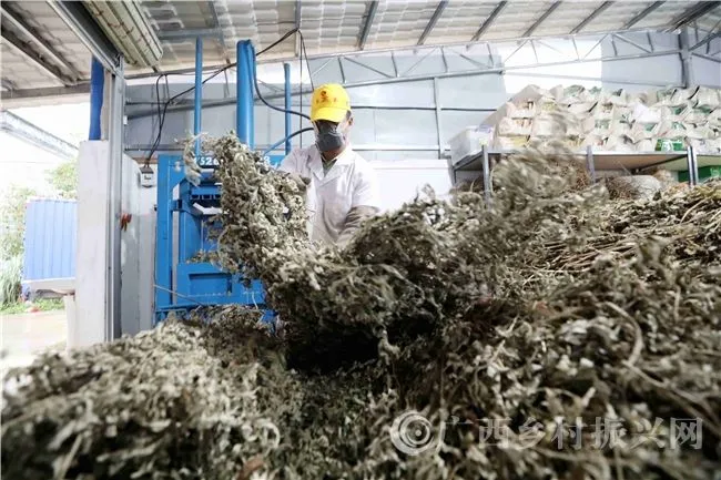 Shandong Yumeiren Wormwood Products Co., Ltd company overview - view 2