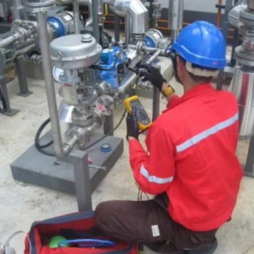 Maintenance and Service for Discharge Valves.png