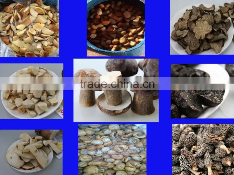 black truffles mushrooms price from yunnan