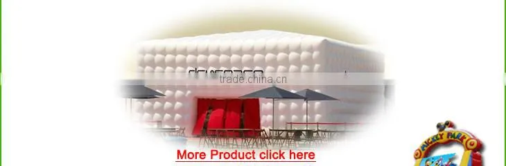 New Point Cheap inflatable double water slides, water slide for inflatable pool