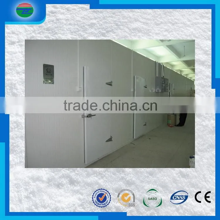 Bottom price good quality fresh fish blast freezer/cold storage/cold room price