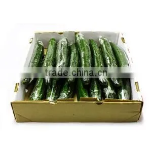 Waterproof carton box for packing Frozen chicken