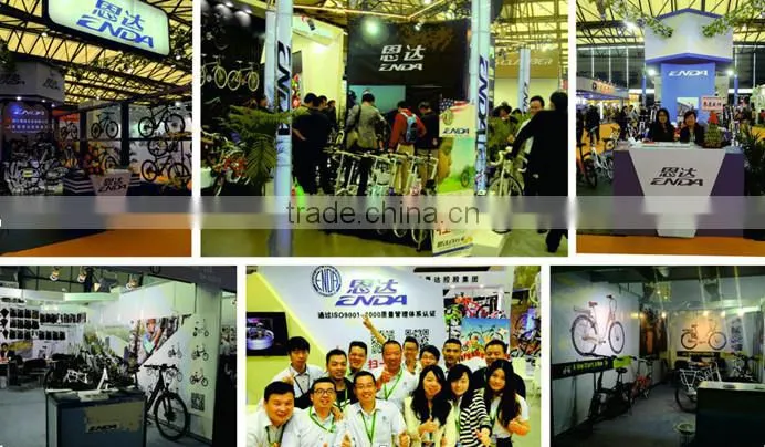 Snow Ebike, fat tire ebike, TDE26M010