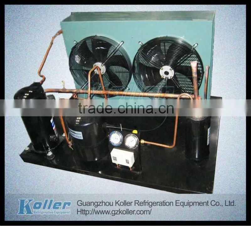 Small Cold Room to store ice