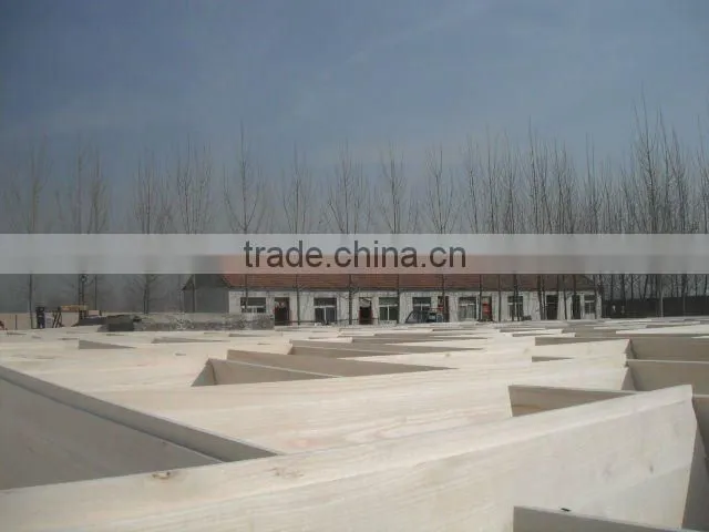 competitive paulownia wood price