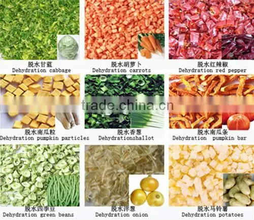 VSEE dry onion color sorter