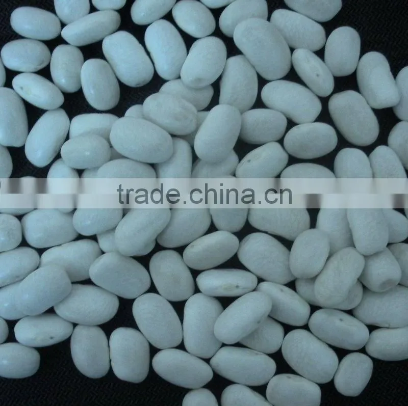 Medium White Kidney Beans