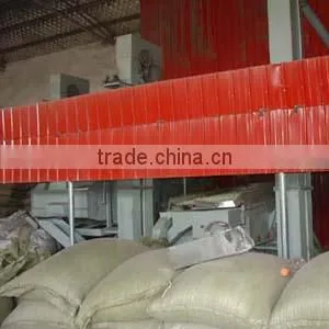 Shine-skin pumpkin seeds for wholesale from China