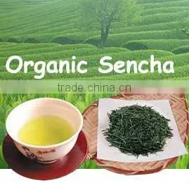 Japanese Style Japanese Flavor Steamed Green Tea Sencha