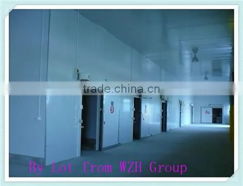 Bitzer compressor cold room price to store block ice for Africa