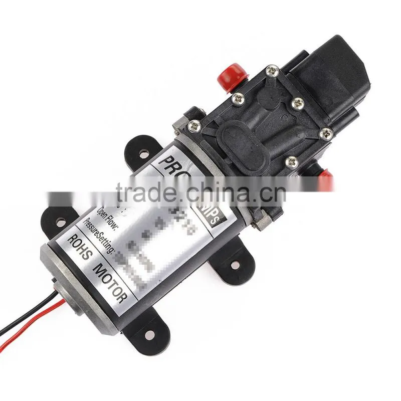 Hot Sale Car Wash Micro Diaphragm High Pressure Water Pump with Automatic Switch